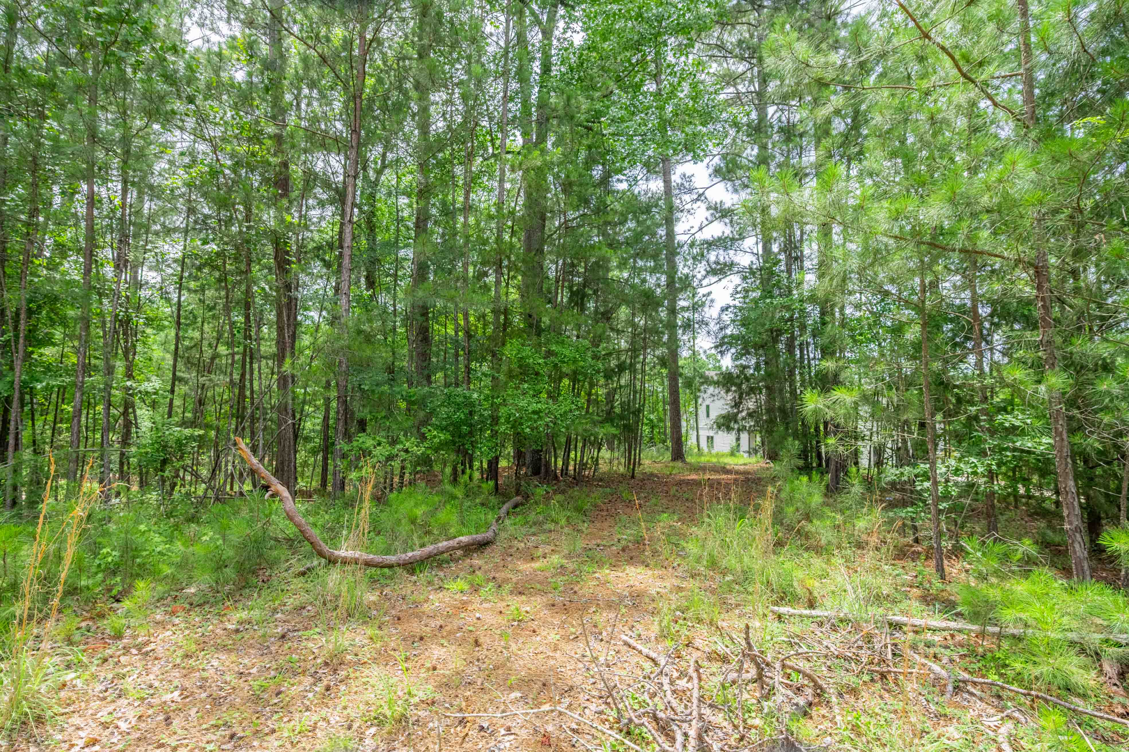 1101 Scull Shoals Drive image 11